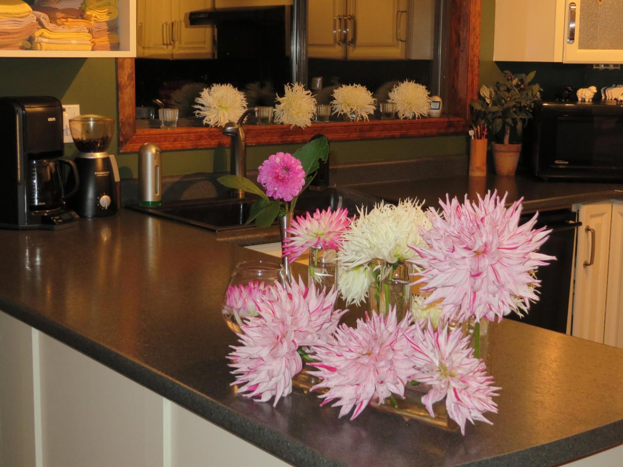 Misty Meadows B&B Langford Extérieur photo