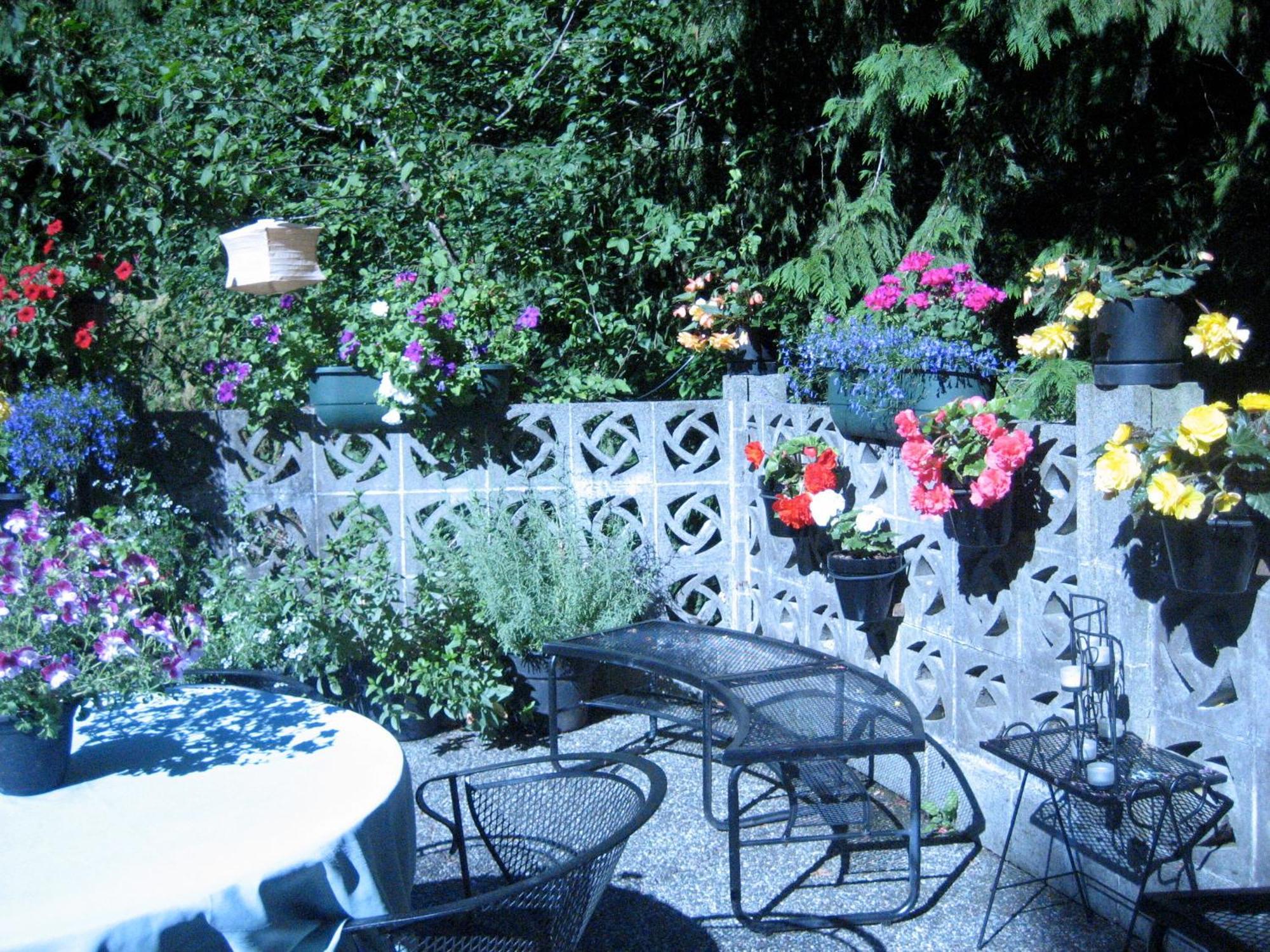 Misty Meadows B&B Langford Extérieur photo