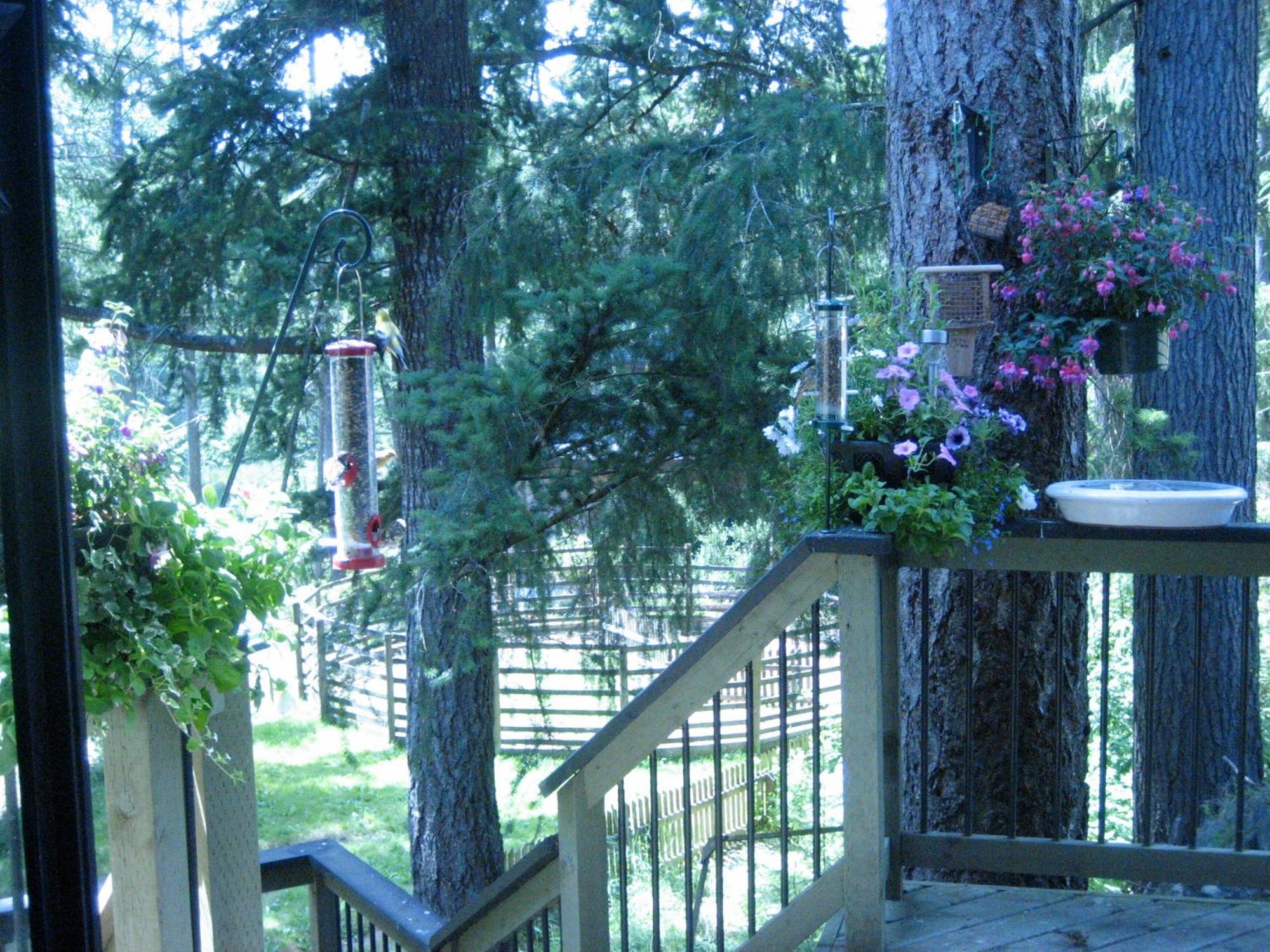 Misty Meadows B&B Langford Extérieur photo