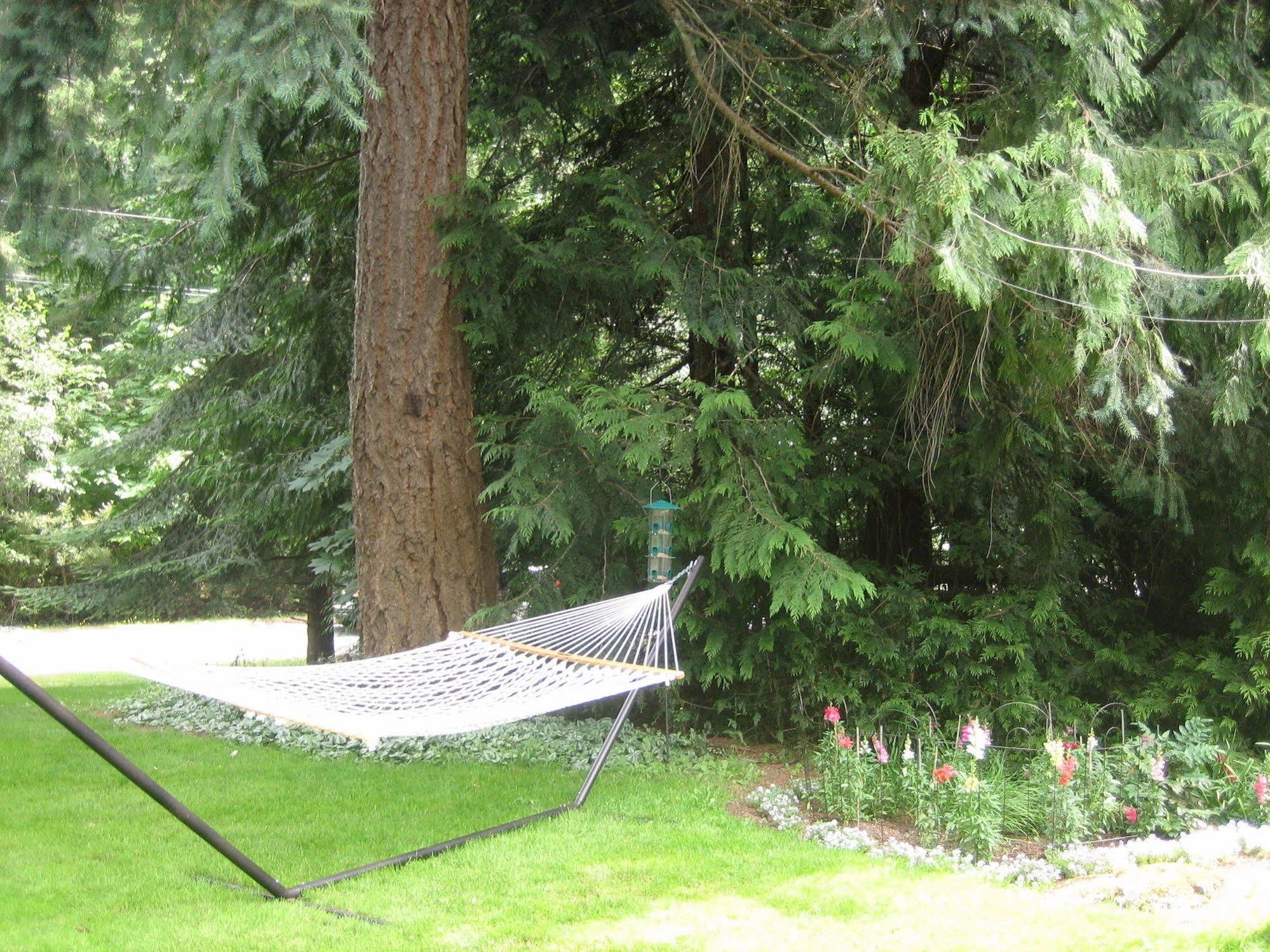 Misty Meadows B&B Langford Extérieur photo