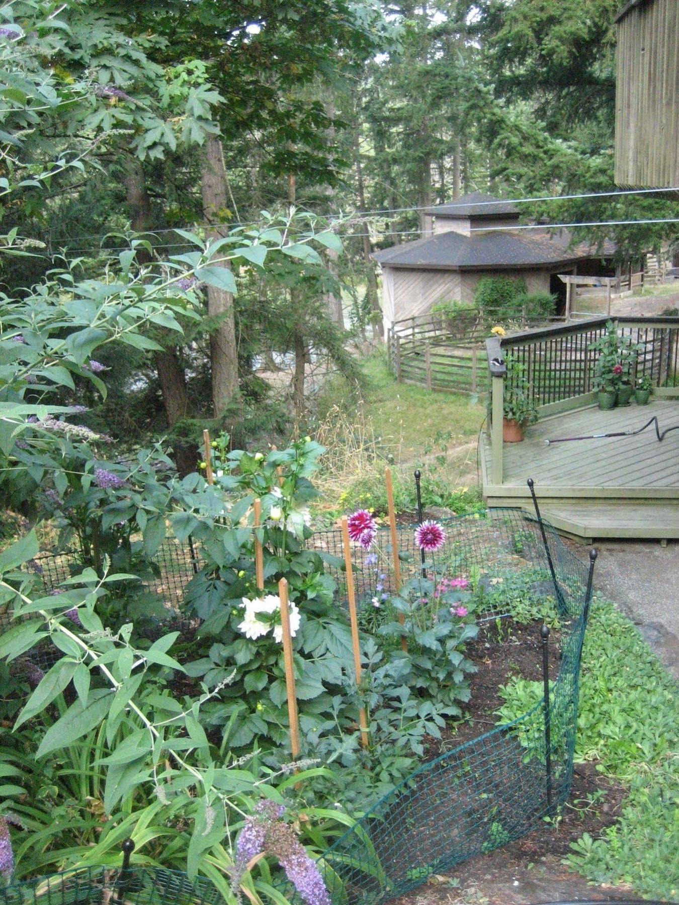 Misty Meadows B&B Langford Extérieur photo