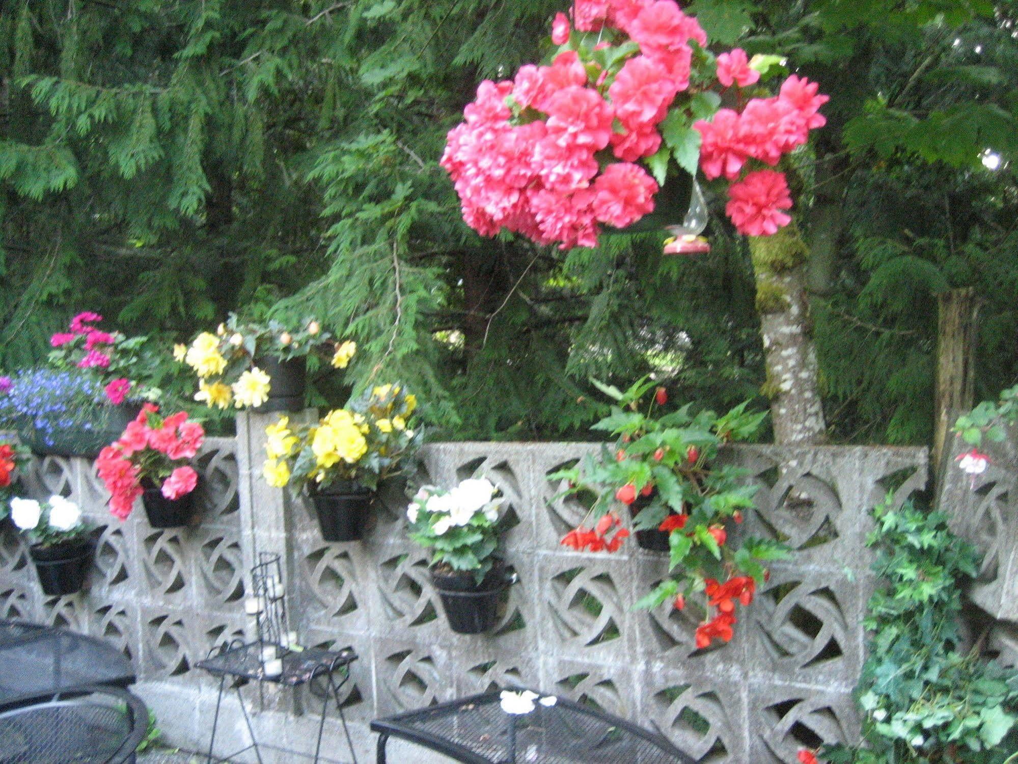Misty Meadows B&B Langford Extérieur photo